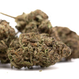 Premium Studio 54 THCa hemp flower bud with dense trichomes