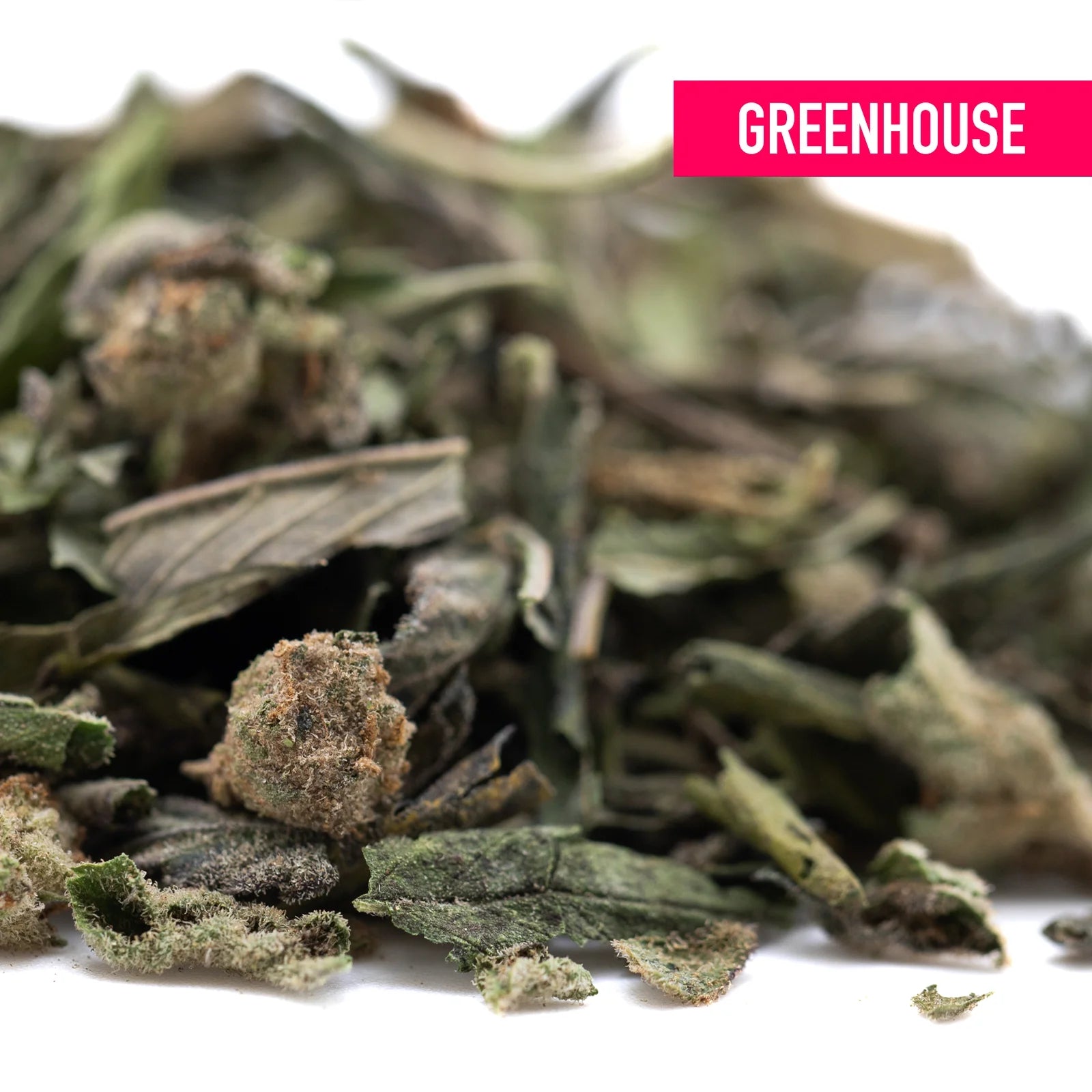 Dried subzero greenhouse thca trim buds and leaves in green brown and gray for therapeutic effects and chronic pain