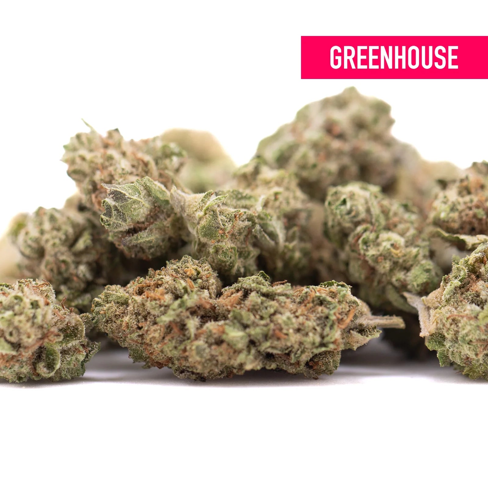 Sugar THCa Greenhouse Smalls wholesale cannabis buds with dense green and brown texture featuring sugary chocolate traits