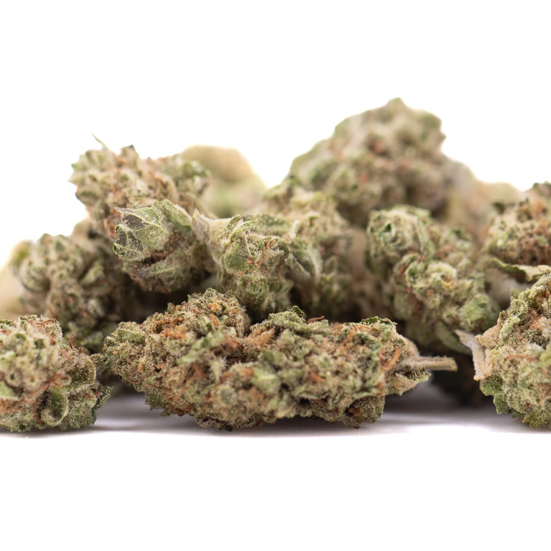 A pile of dried sugar thca greenhouse smalls with green and brown hues and fine trichomes from creative genetics
