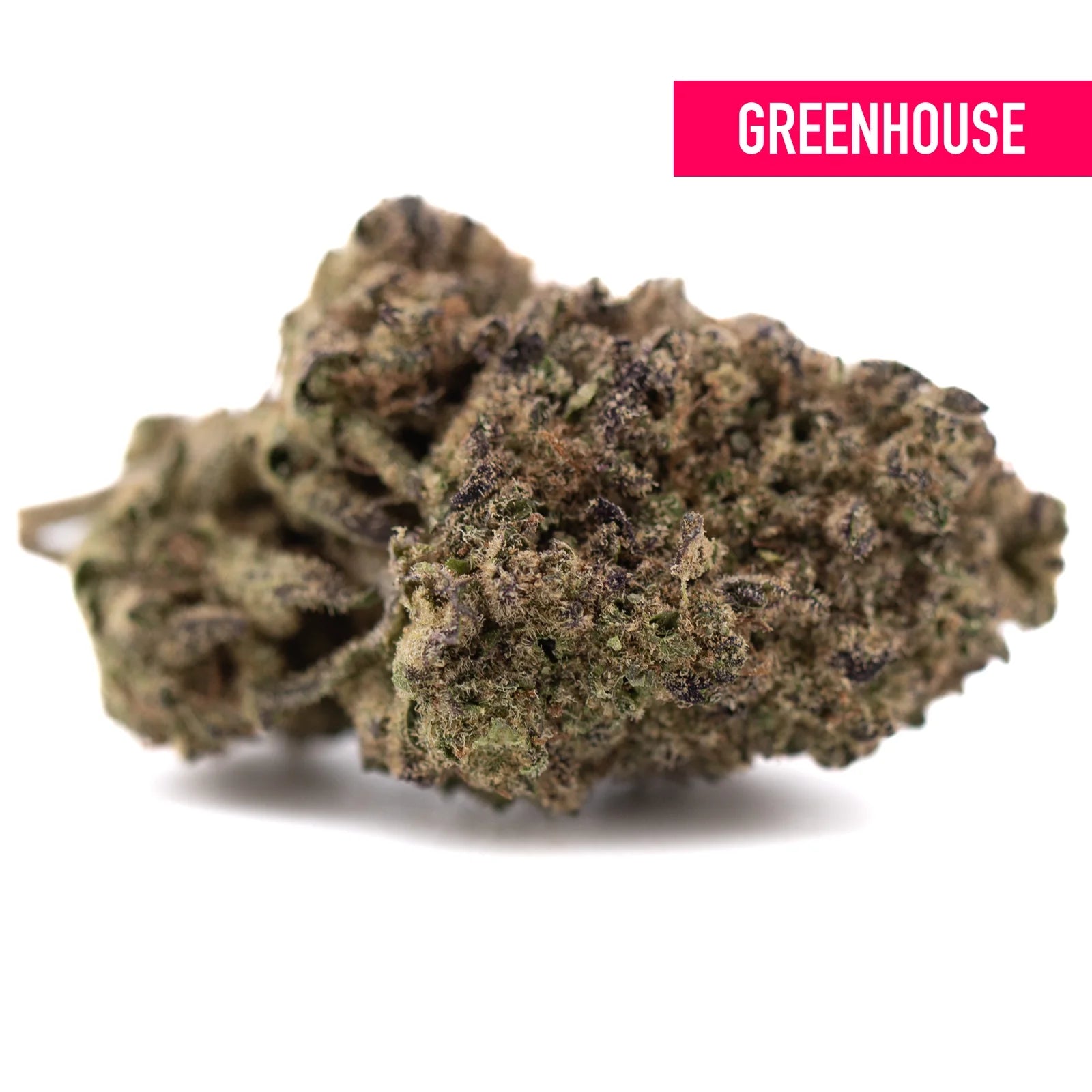 A dense sugar thca hemp flower bud with green and brown hues covered in trichomes showcasing greenhouse thca and terpene profile