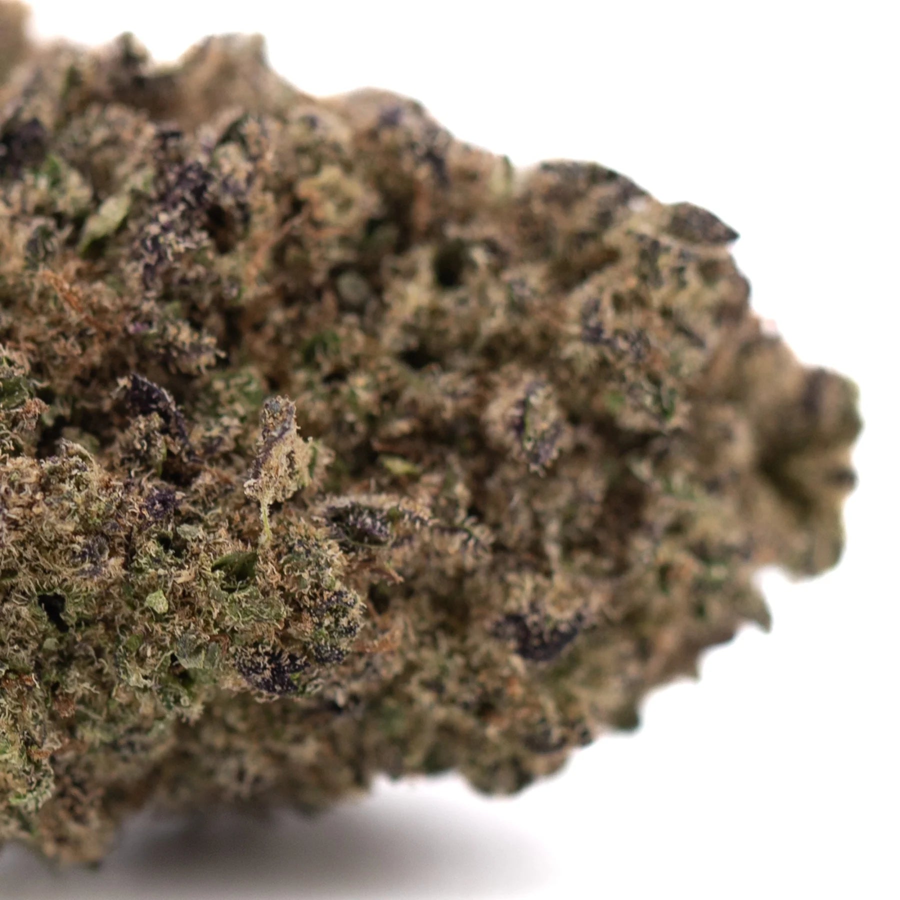 A dense greenhouse thca sugar hemp flower bud with green brown hues fine trichomes and purple undertones highlighting its terpene profile