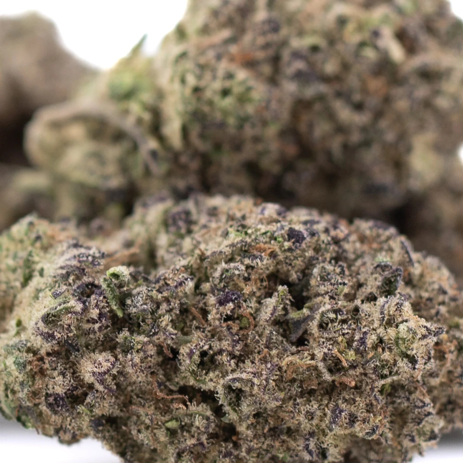 A dense thca flower hemp flower with green and brown hues covered in fine trichomes from legendary cinderella