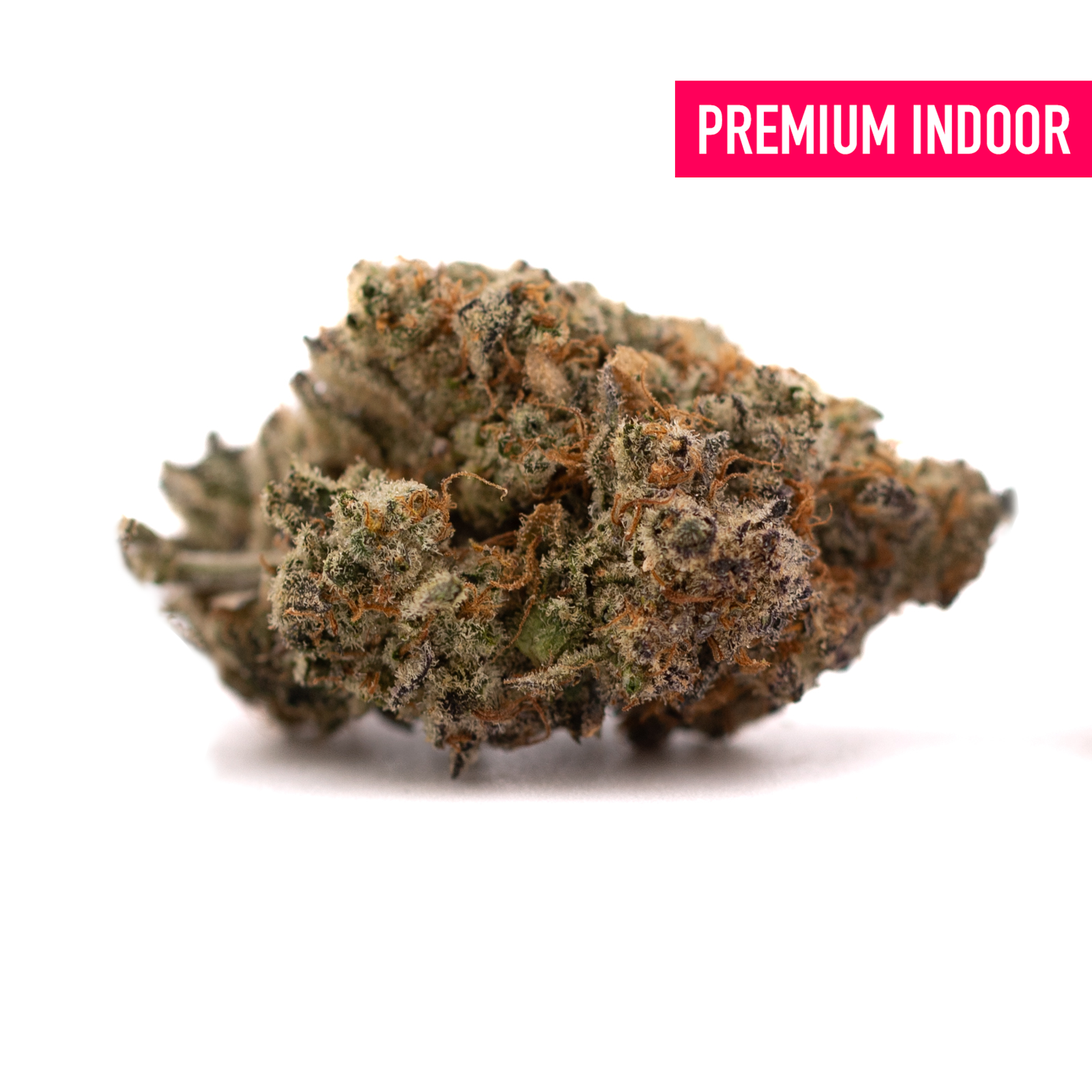 Super Runtz Indoor THCa Flower with dense cannabis bud, orange hairs, and trichomes