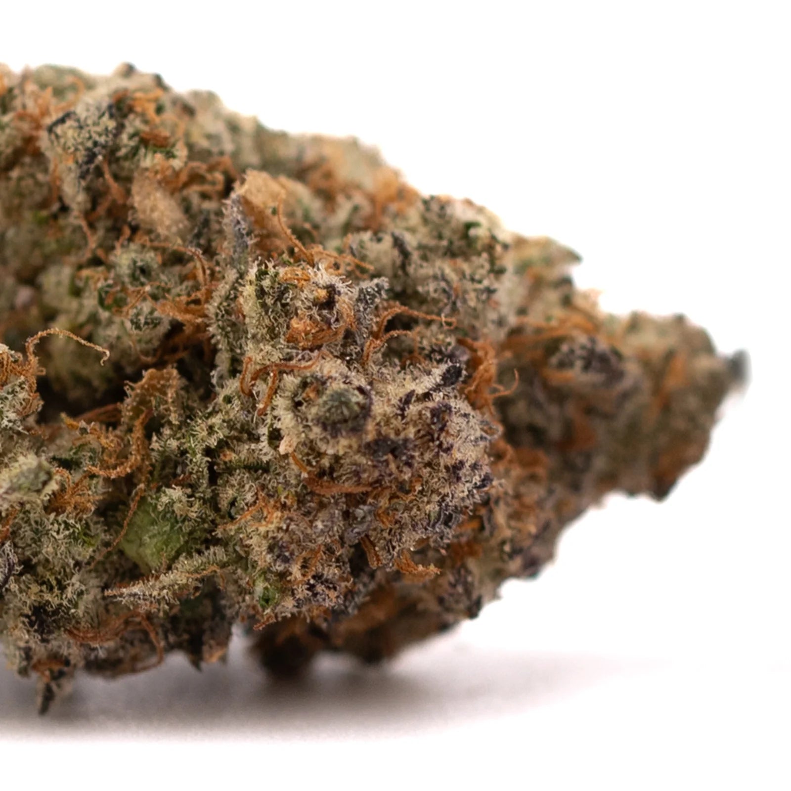 Dried Super Runtz cannabis bud with orange hairs and frosty trichomes for Orchard Swirl Synergy Lemon Cherry Gelato