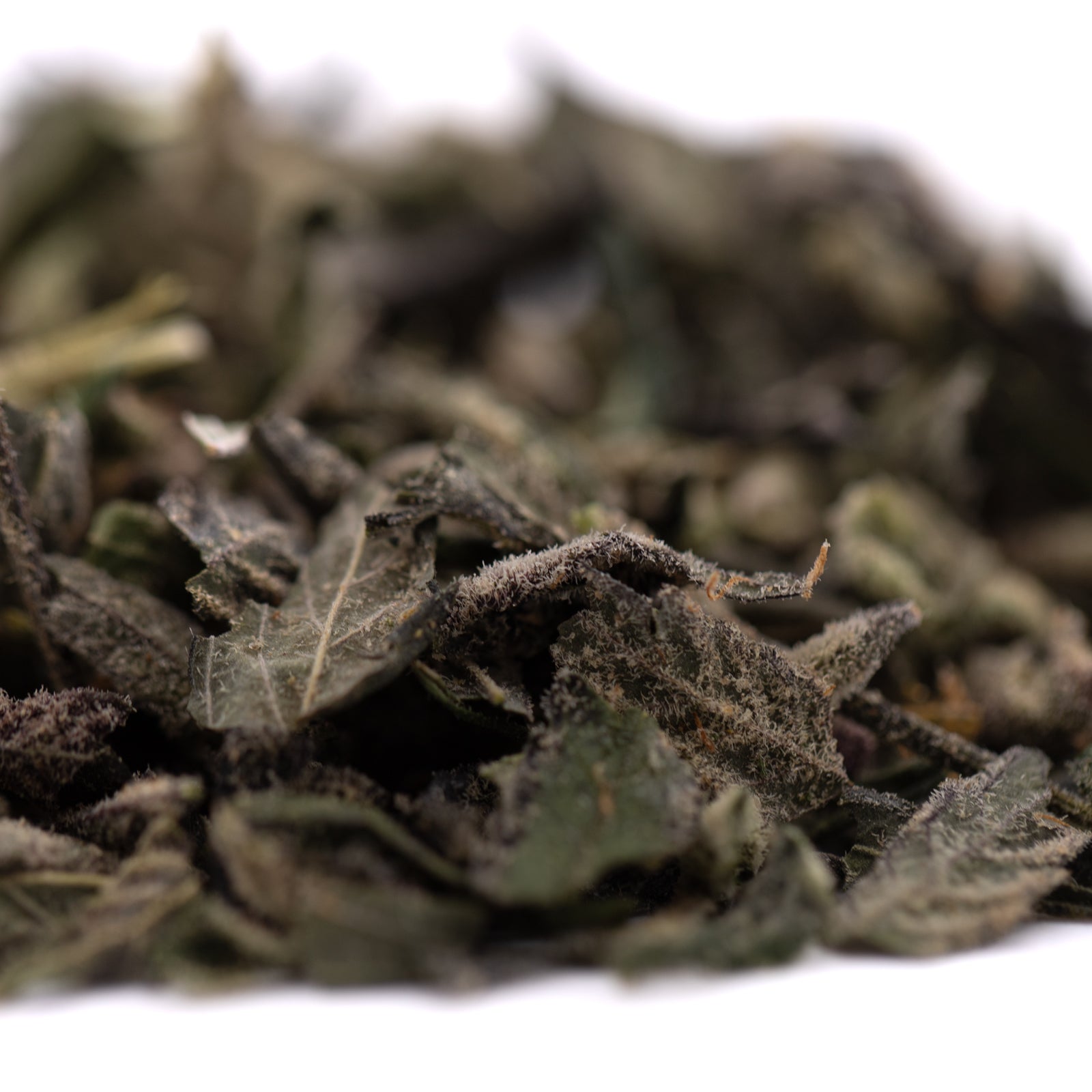 Dried green tea leaves from Super Runtz Indoor Trim Wholesale 1LB with lemon cherry gelato and THCA trim