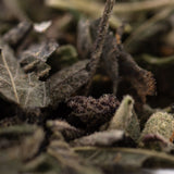 Dried green tea leaves and buds for Super Runtz Indoor Lemon Cherry Gelato THCA Trim