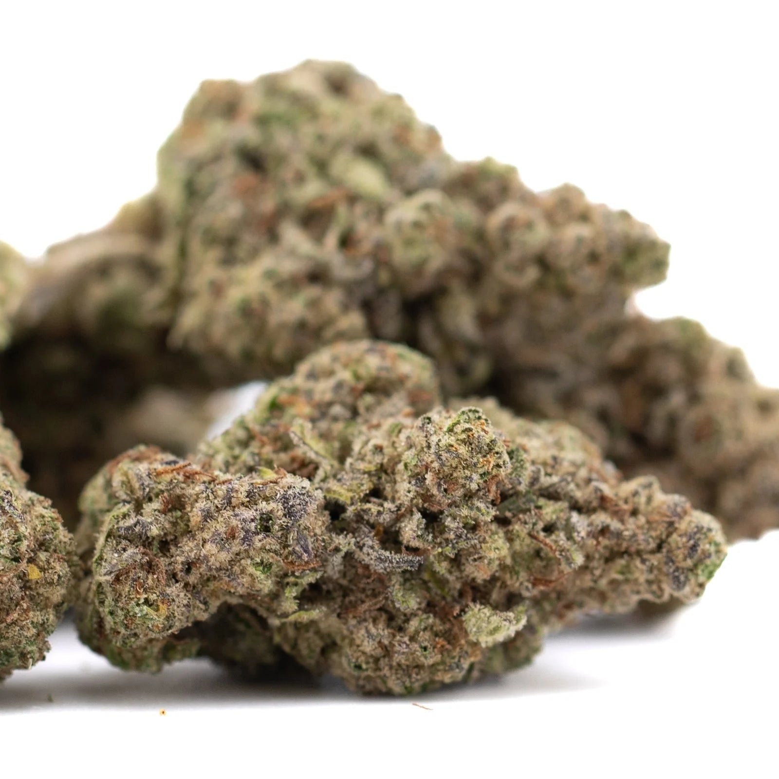 Super Runtz THCa hemp flower bud in greenhouse
