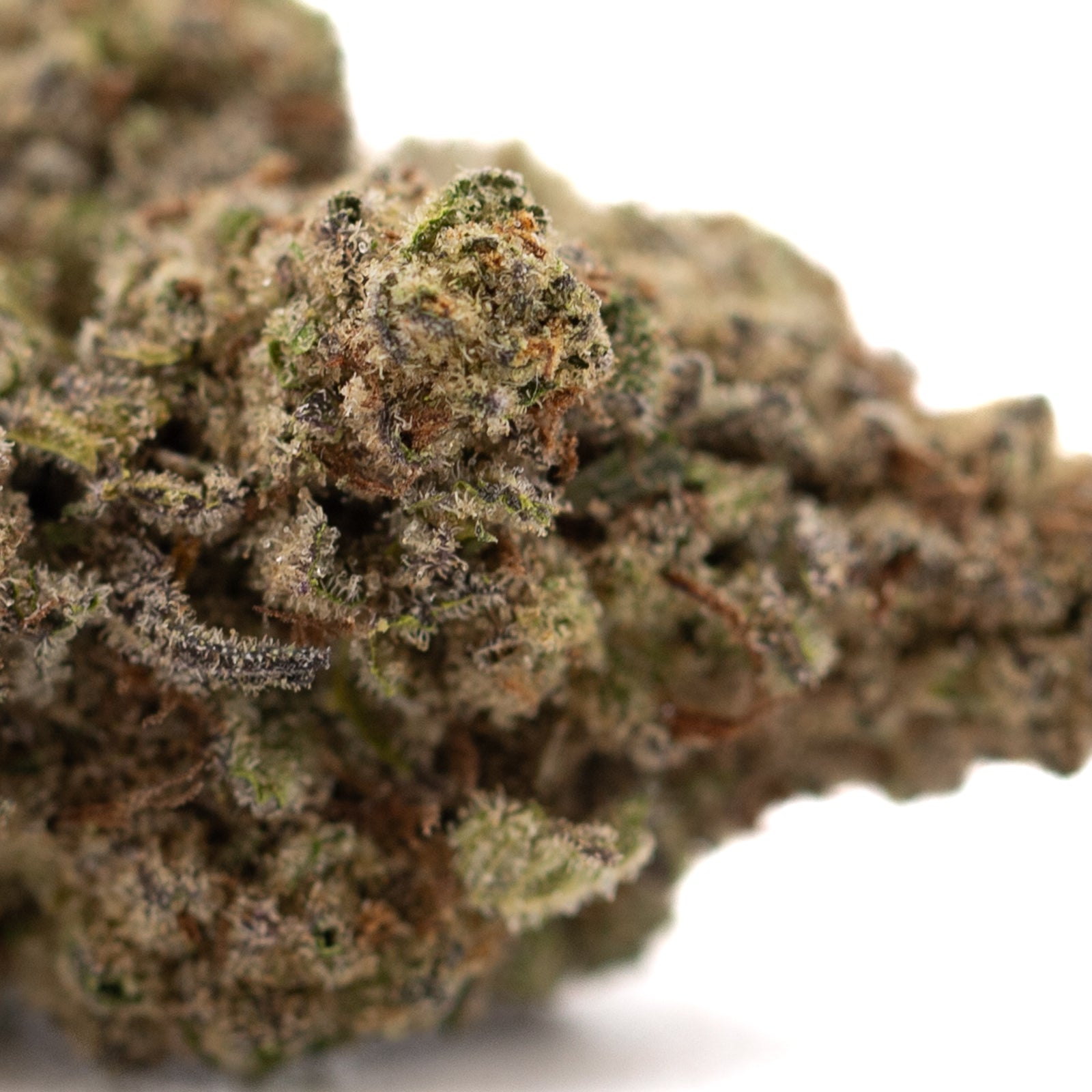 Super Runtz THCa hemp flower bud with green, brown hues and trichomes