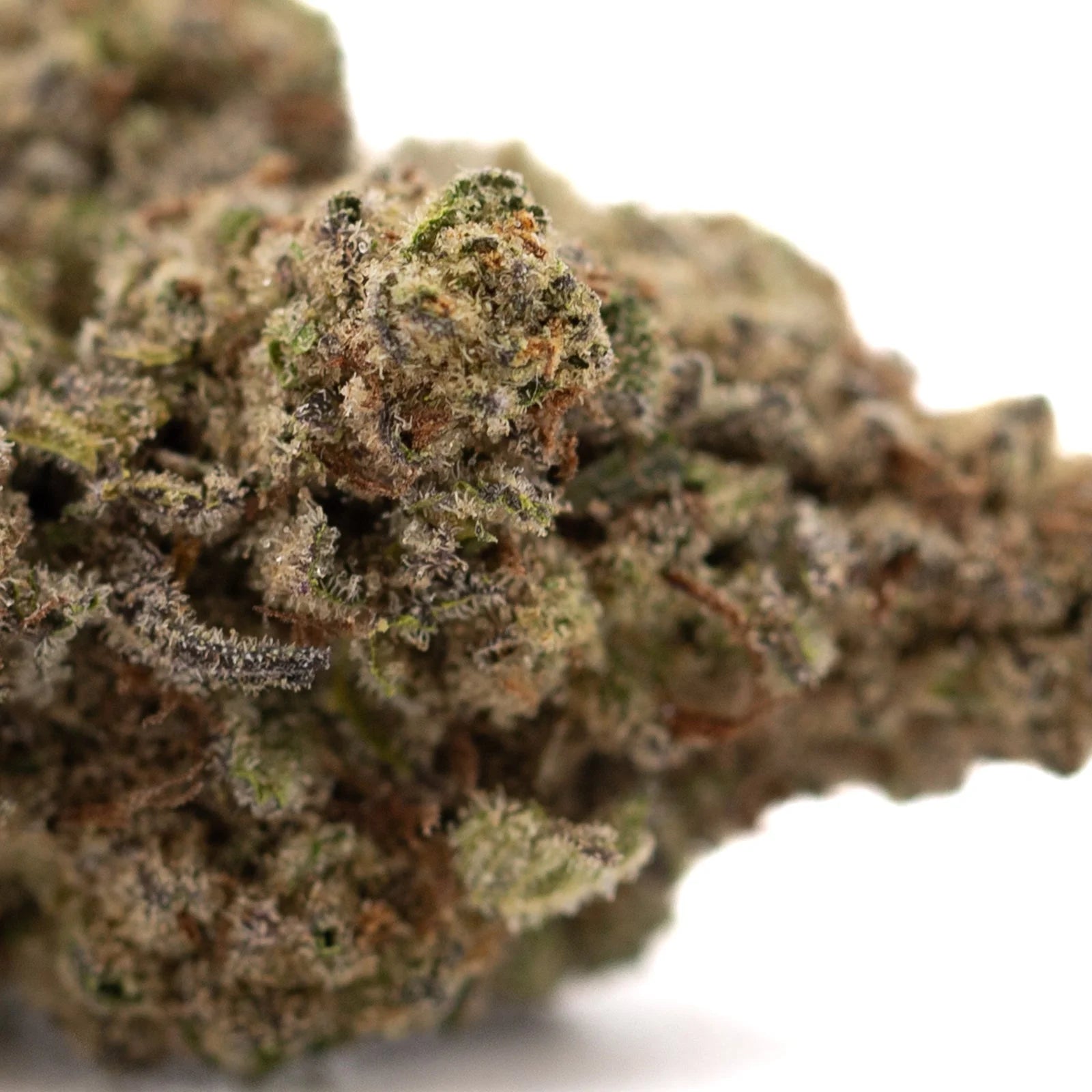 Super Runtz THCa hemp flower bud with green, brown hues and trichomes