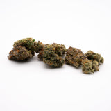 Super Sonic Indoor THCa Flower - 5g - Plants