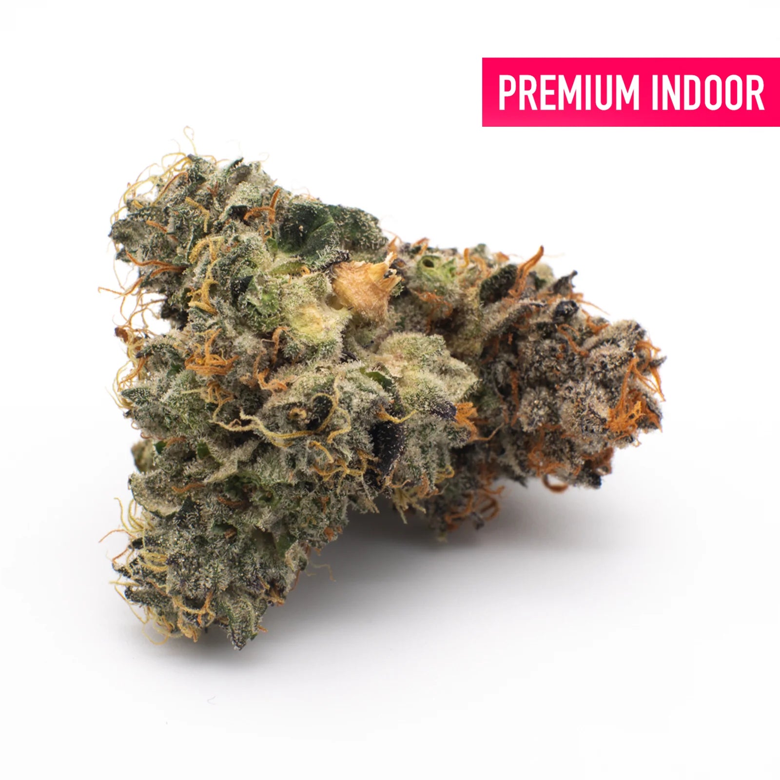 Super Sonic Indoor THCa Flower - 5g - Plants