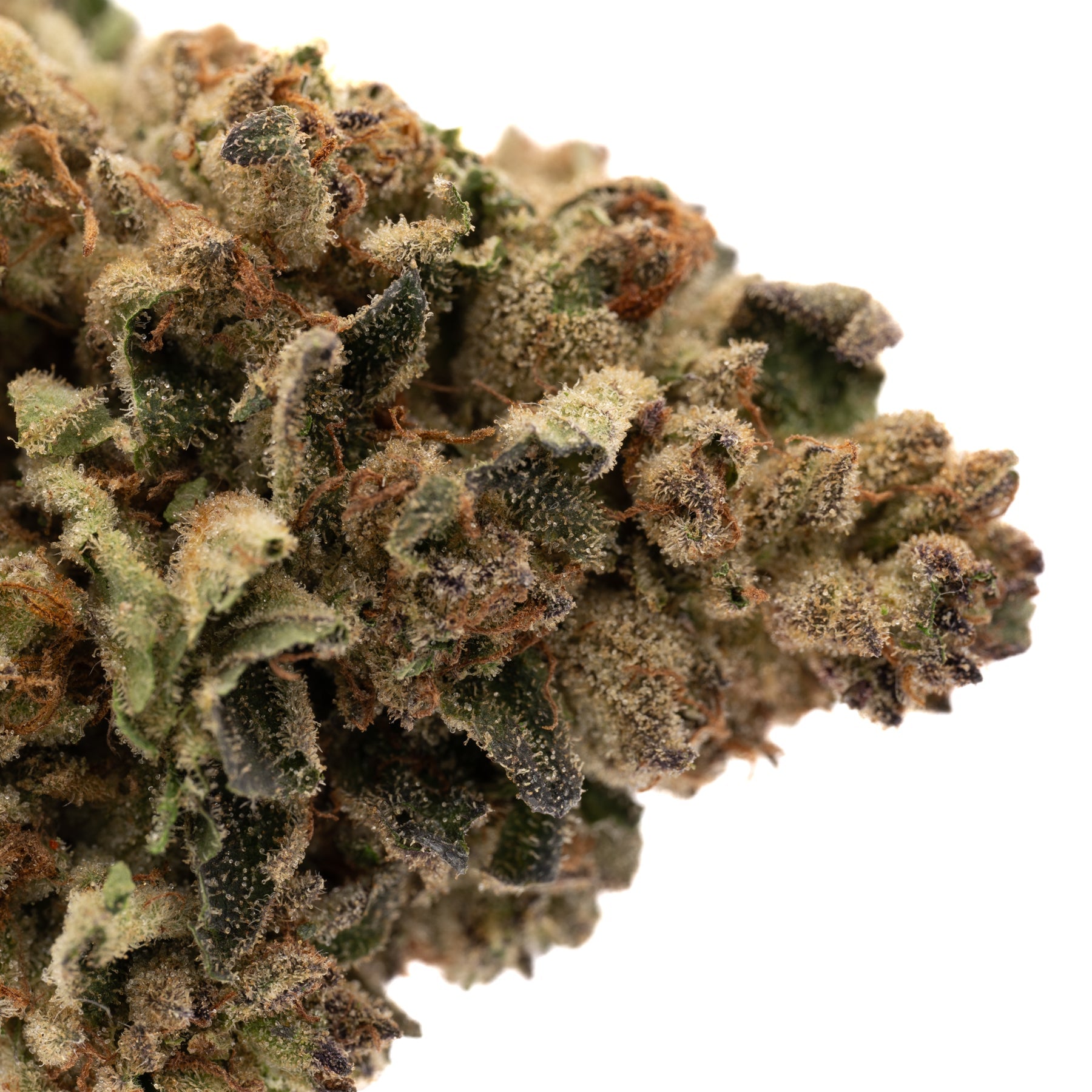 Super Sonic THCa Flower Full-Term - Plants