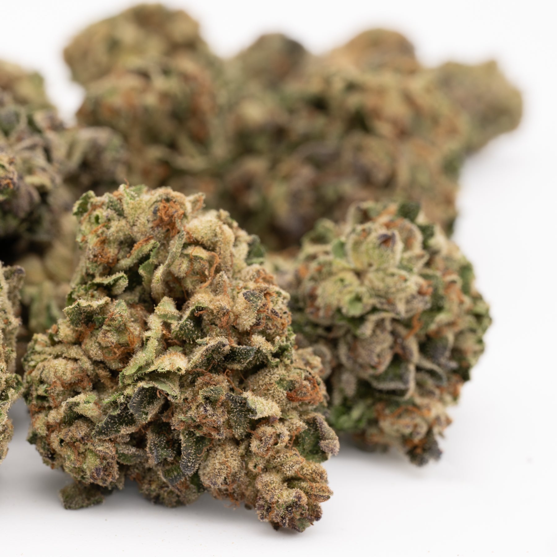 Super Sonic THCa Flower Full-Term - Plants