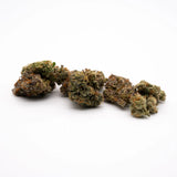Super Sonic THCa Flower Wholesale - 1/2lb - Plants