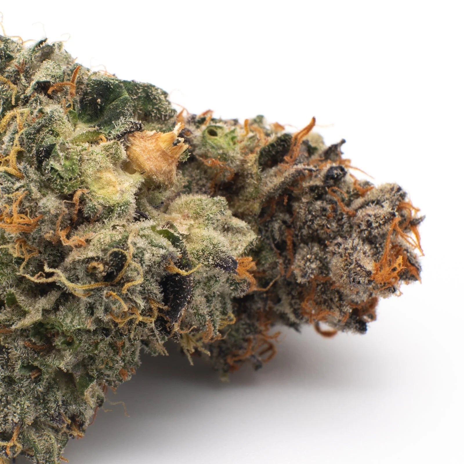 Super Sonic THCa Flower Wholesale - 1/2lb - Plants
