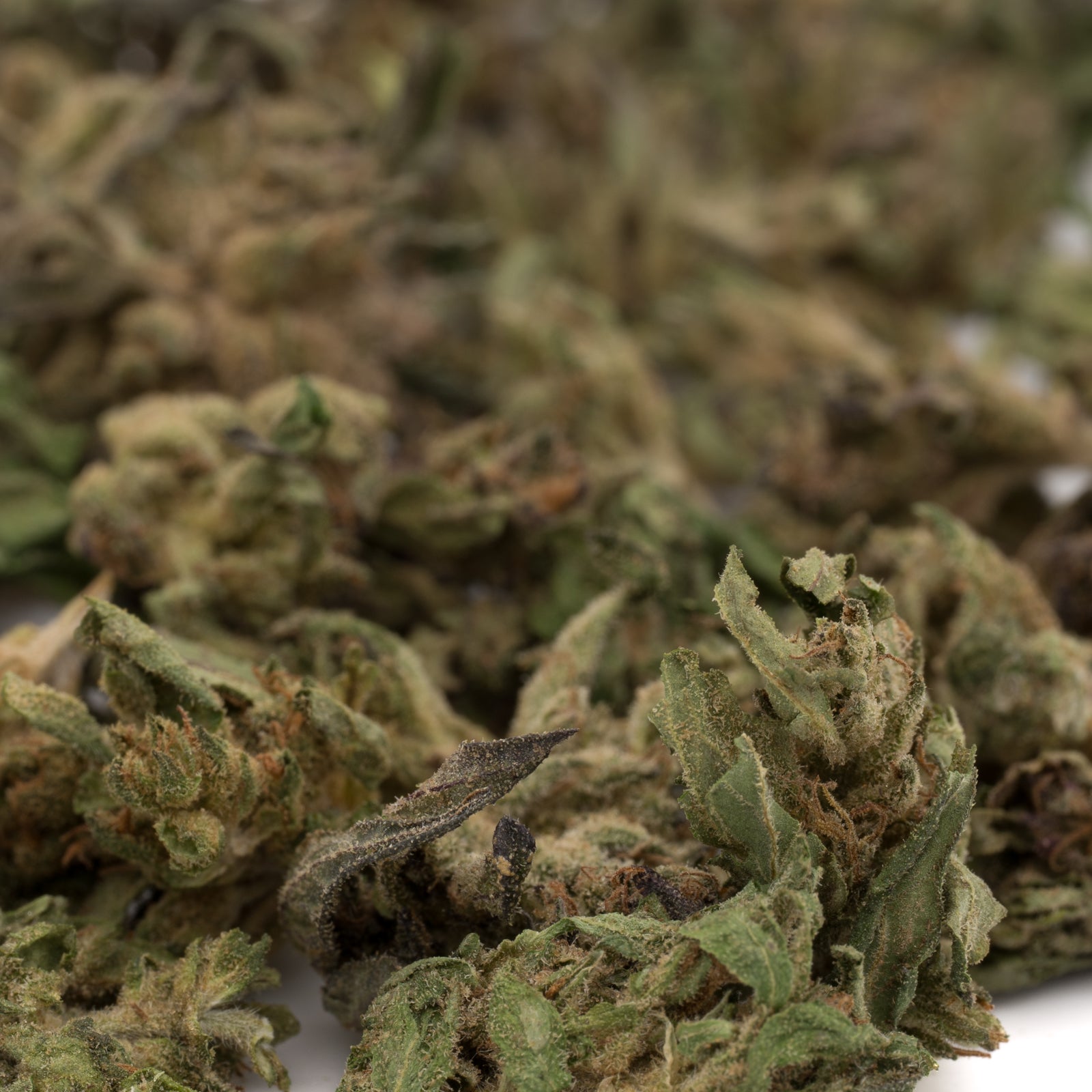 Tangelo THCa Hemp Flower Smalls: Marijuana Buds with Green Leaves