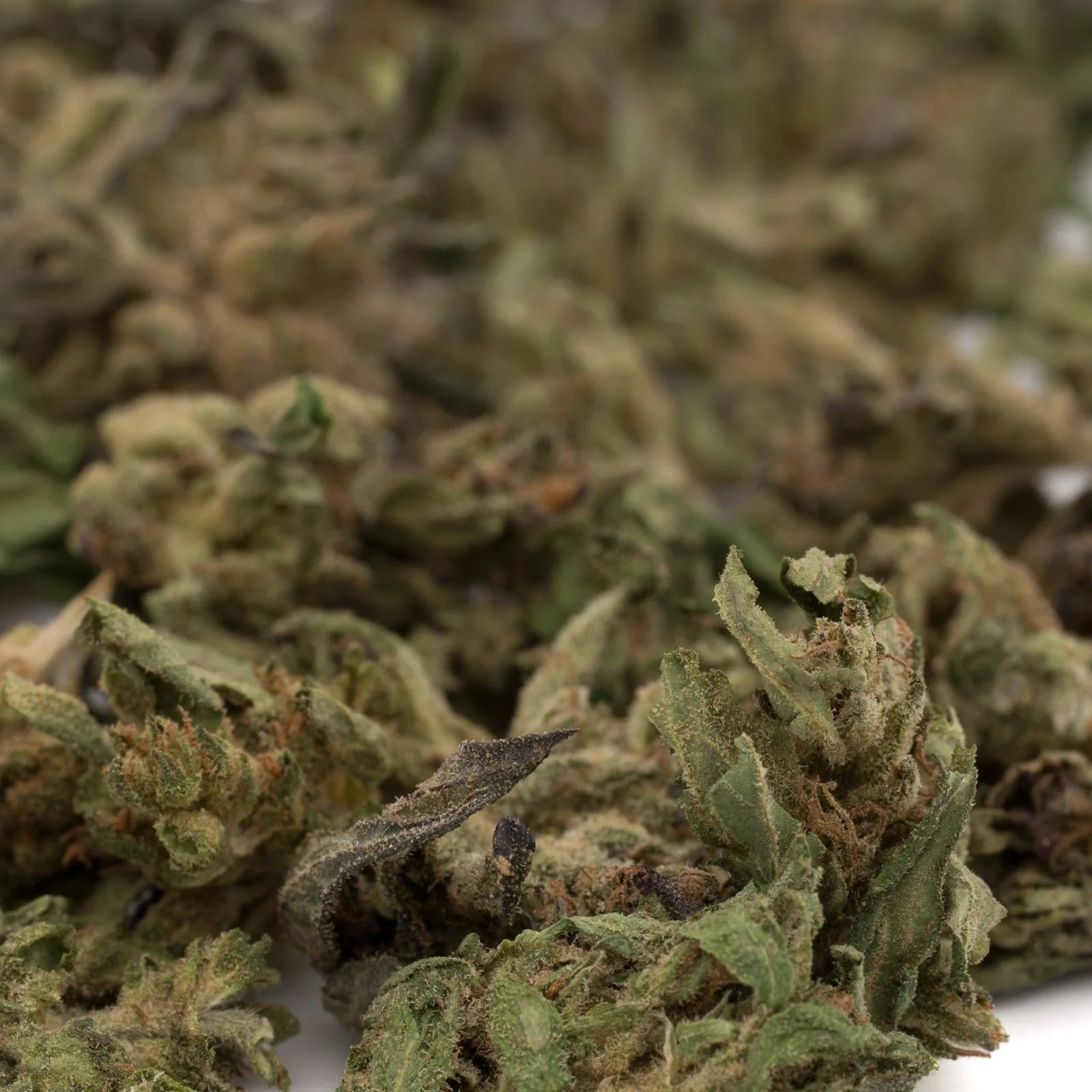 Tangelo THCa Hemp Flower Smalls: Marijuana Buds with Green Leaves