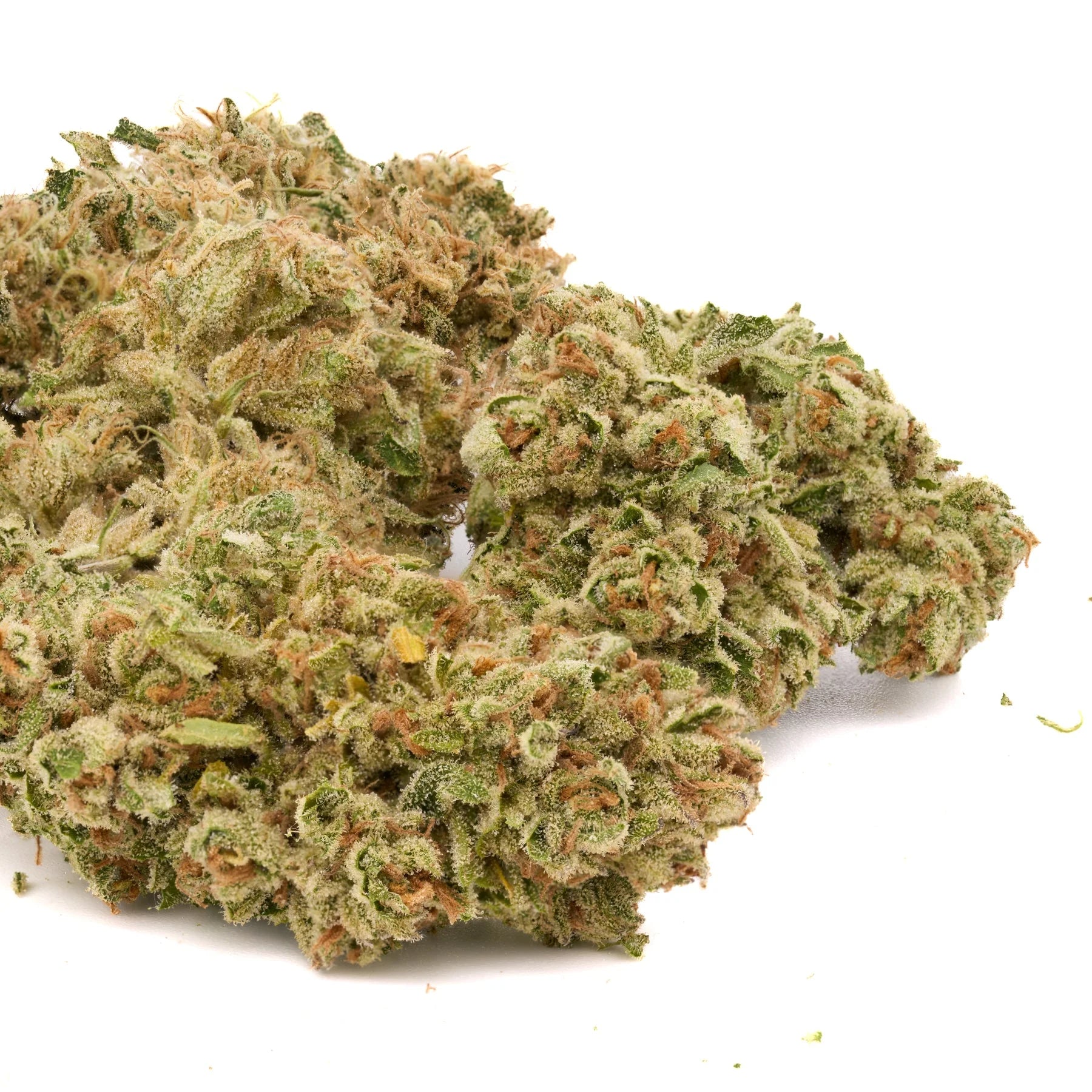 Tangelo THCa Hemp Flower Wholesale - Plants