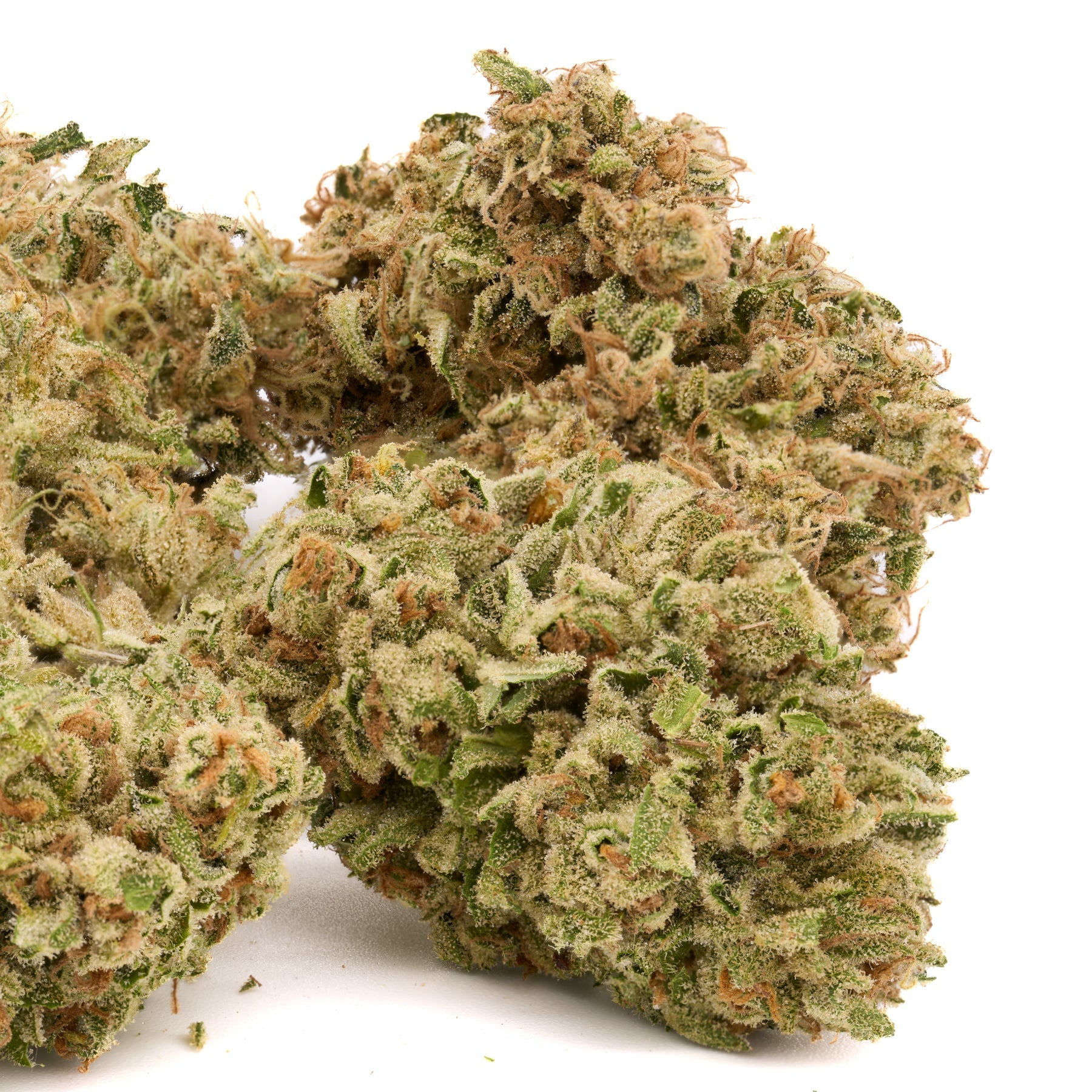 Tangelo THCa Hemp Flower Wholesale - Plants