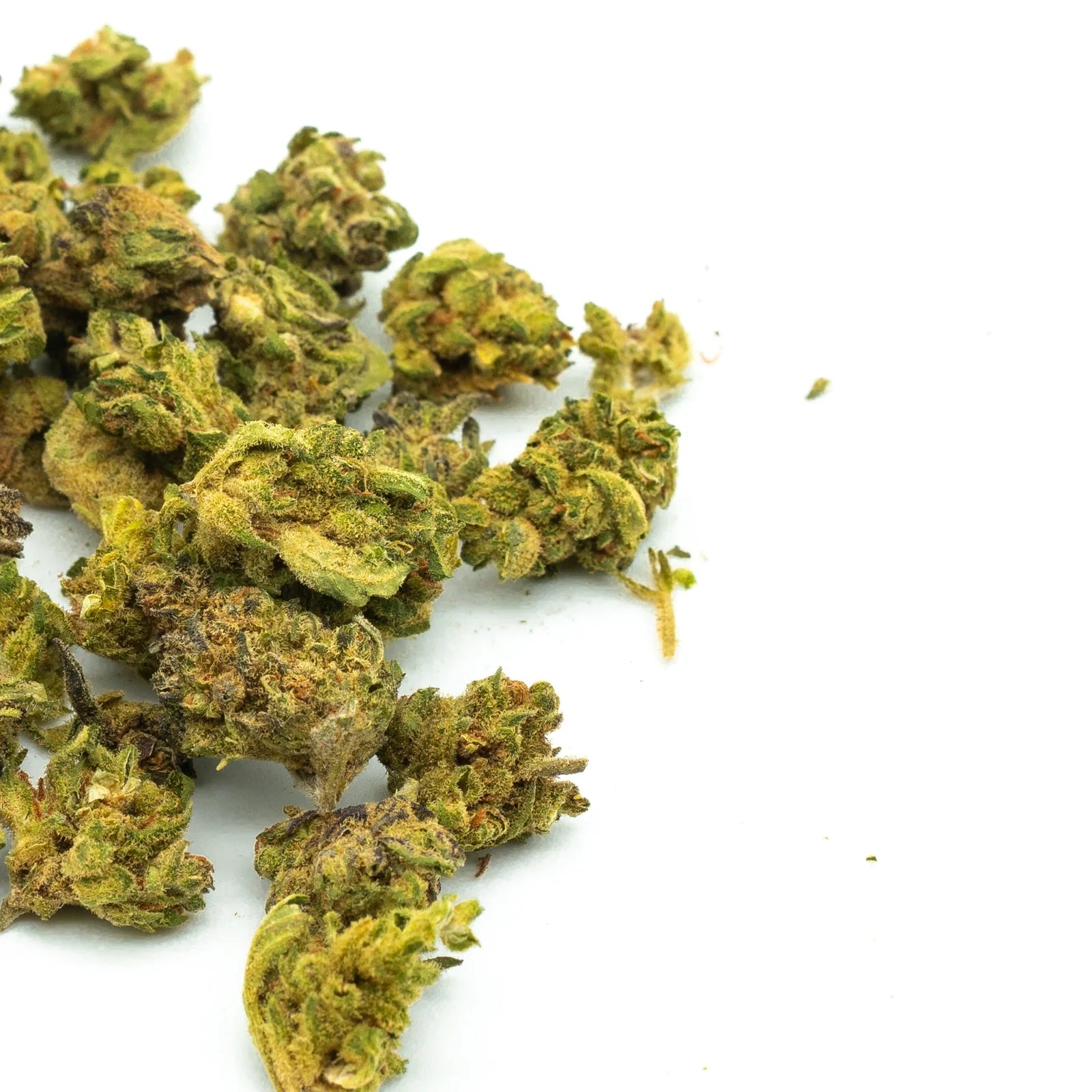 Tangelo THCa Hemp Flower Wholesale (Smalls) - Plants