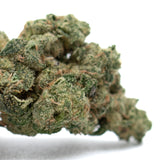 Frosty Teflon Indoor THCa Flower with orange hairs, Oregon Trainwreck strain, the don