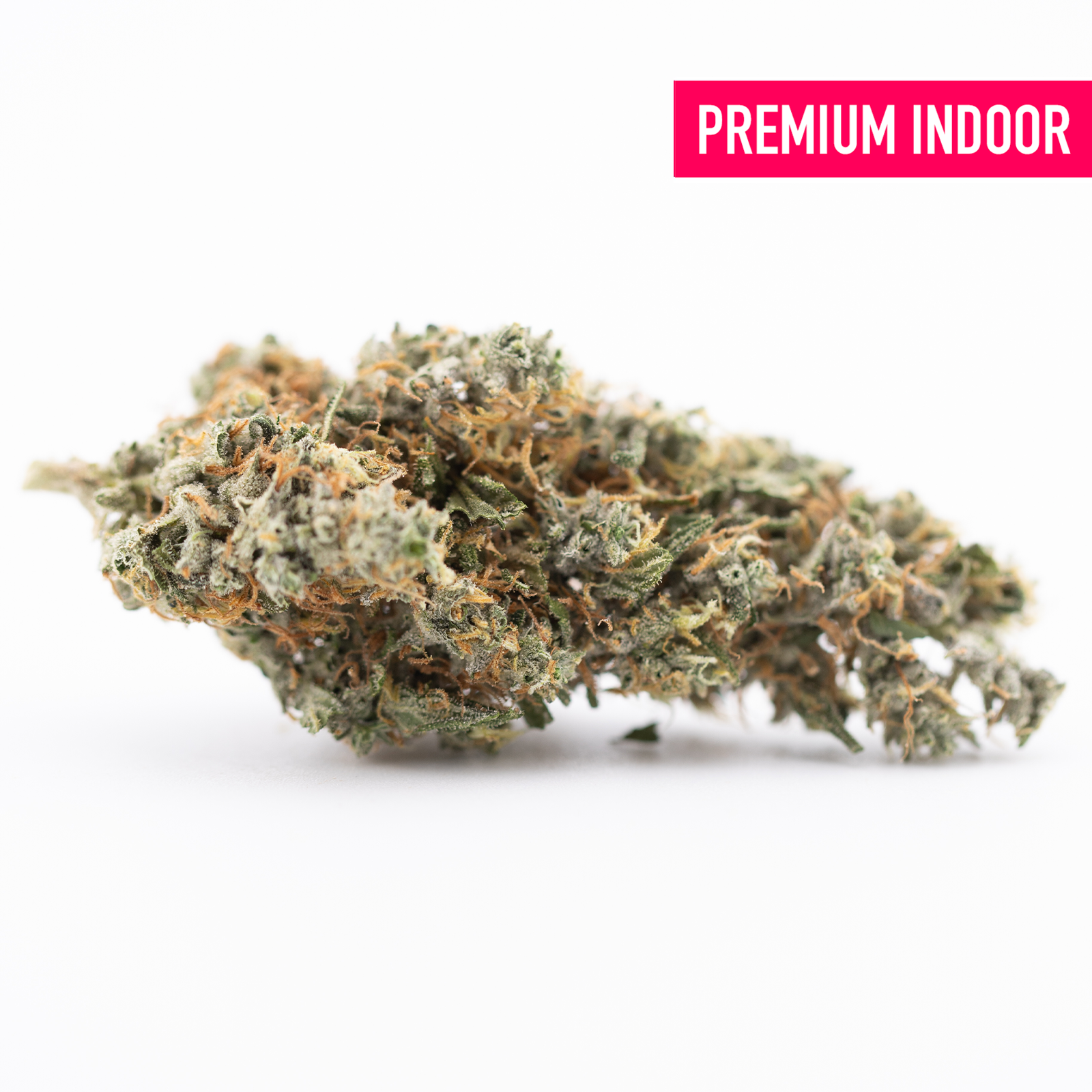 Premium Thai OG THCa Flower: Dense Indoor Bud with White Trichomes