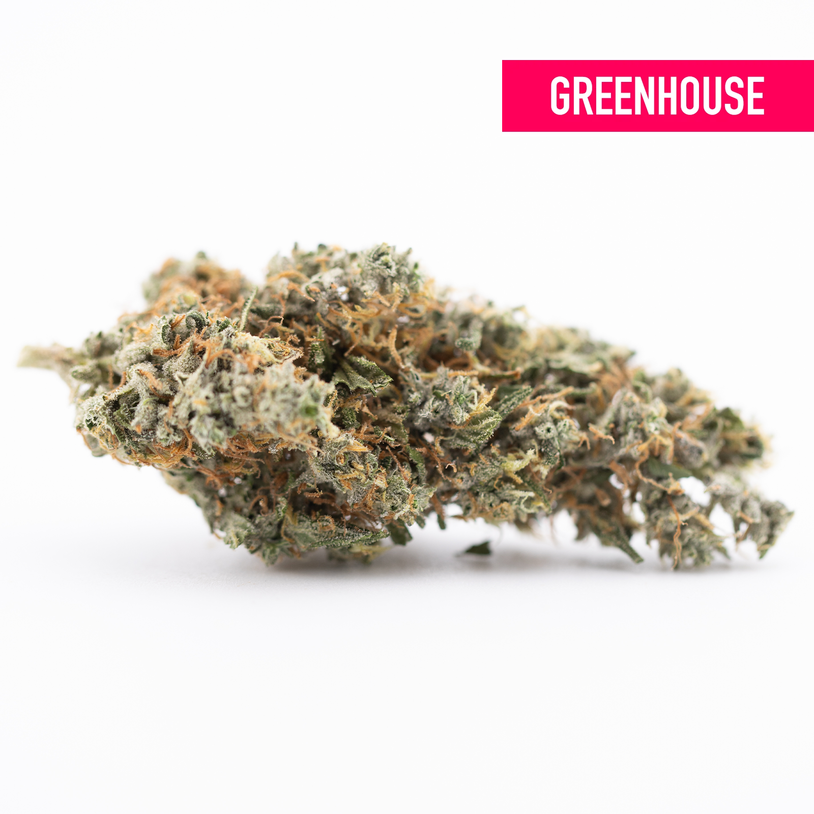 Thai OG THCa hemp flower bud with green-white hues and pink Greenhouse label