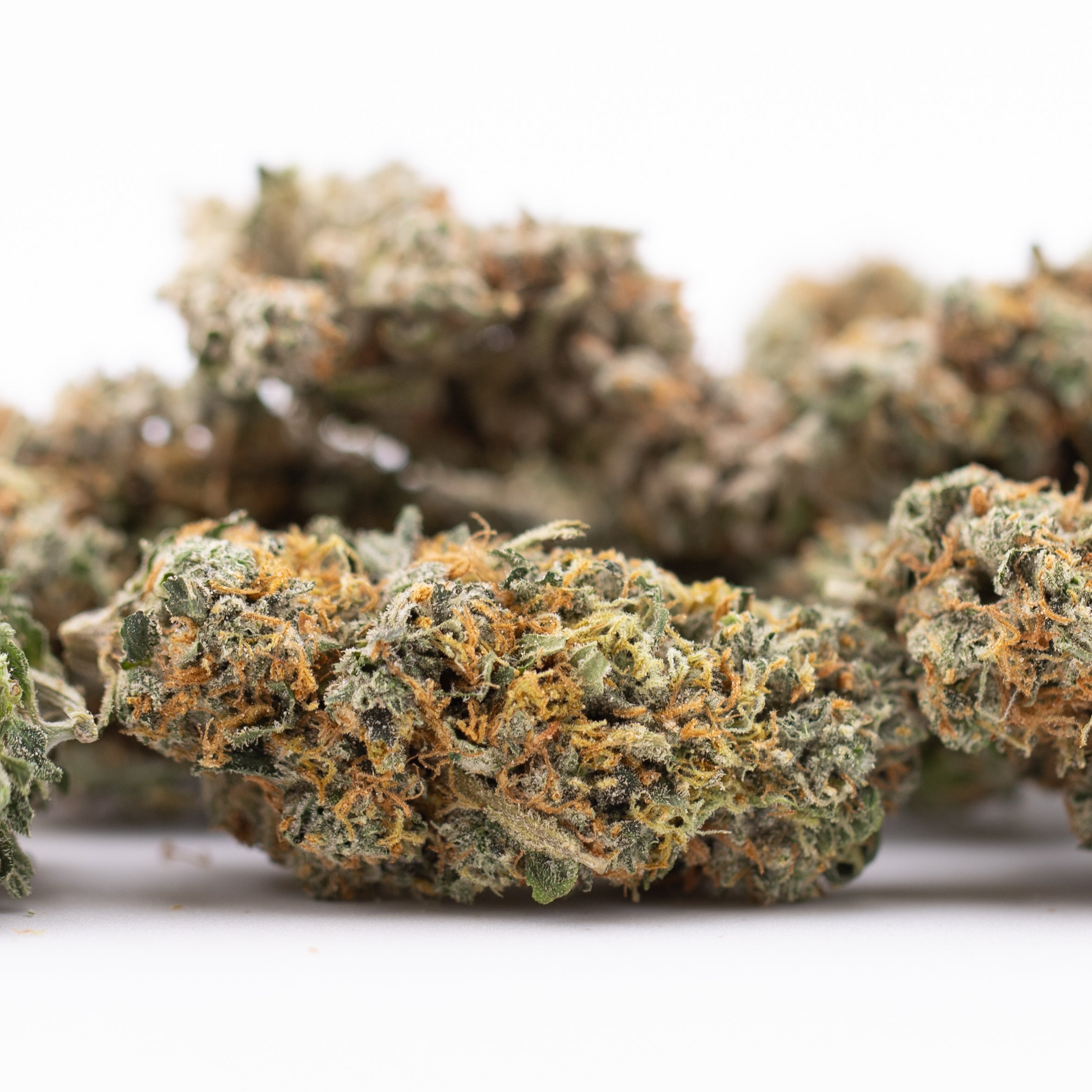 Thai OG THCa hemp flower bud with green leaves and orange trichomes