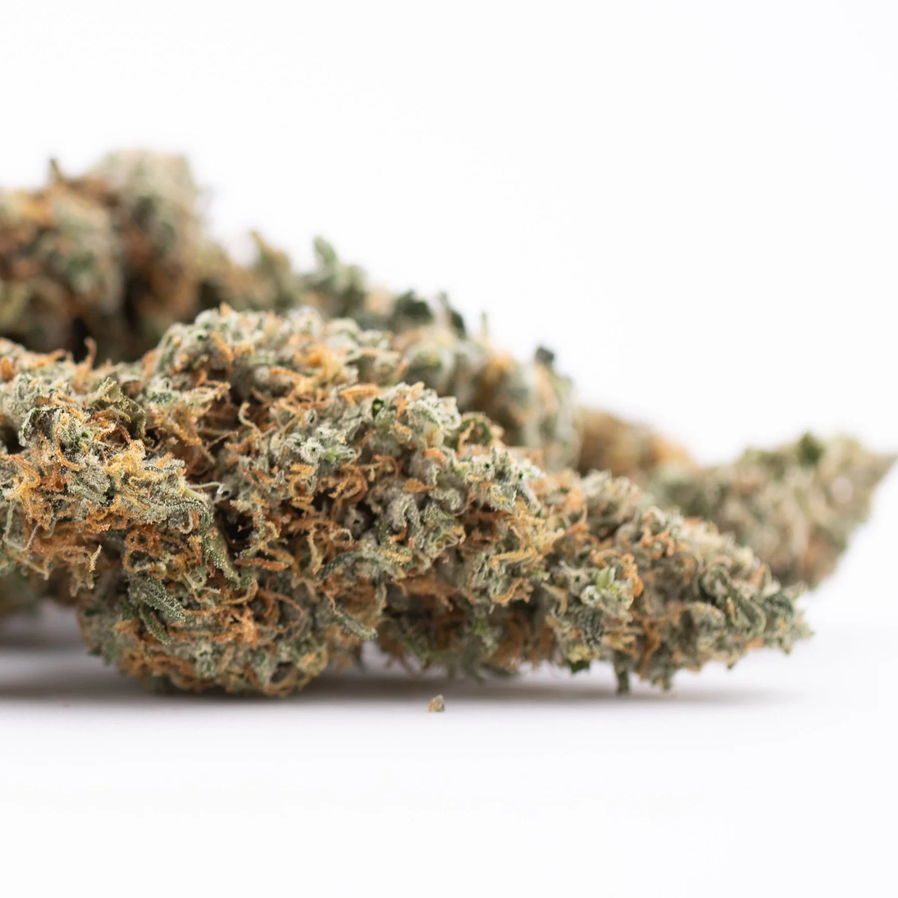 Thai OG THCa Hemp Flower: Dense green-orange bud with resin glands