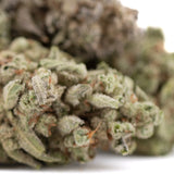 Premium Top Gun THCa Flower with dense trichomes and green hues
