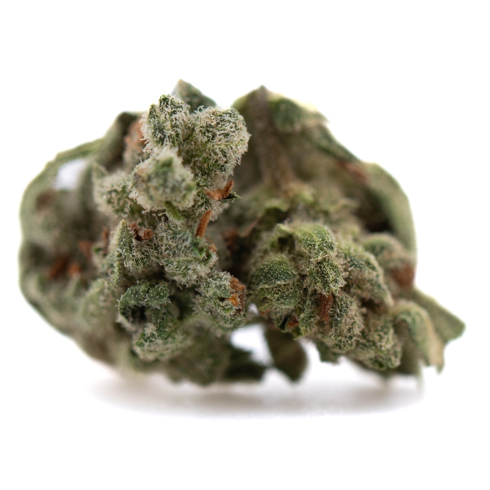 Potent THCa Flower Smalls: Top Gun Full-Term Bud with Green Leaves and White Trichomes