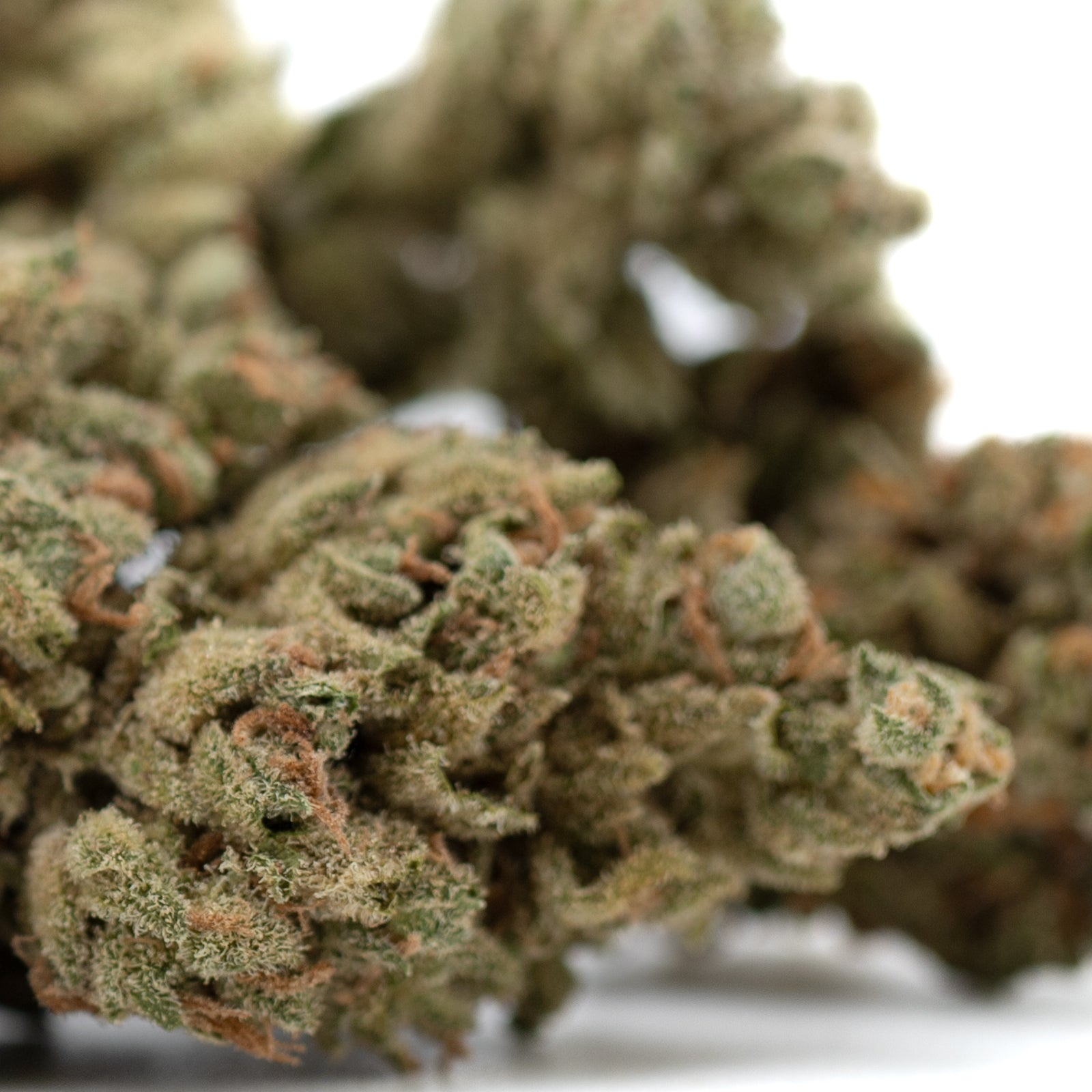 Premium TriCross THCa Flower: Green bud with orange highlights