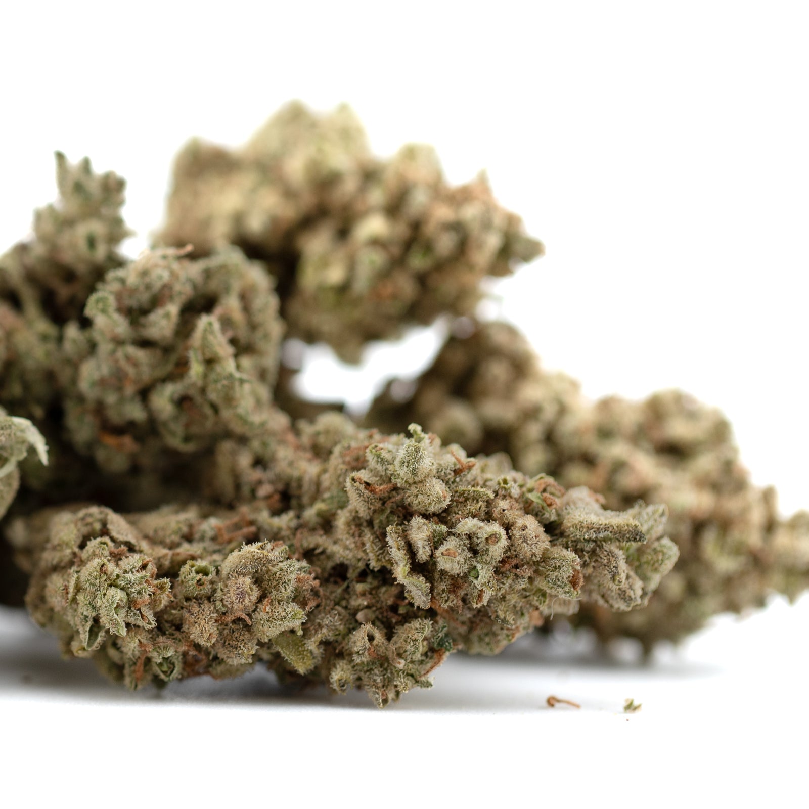 Premium TriCross THCa Flower: Dense trichomes, earthy hemp bud