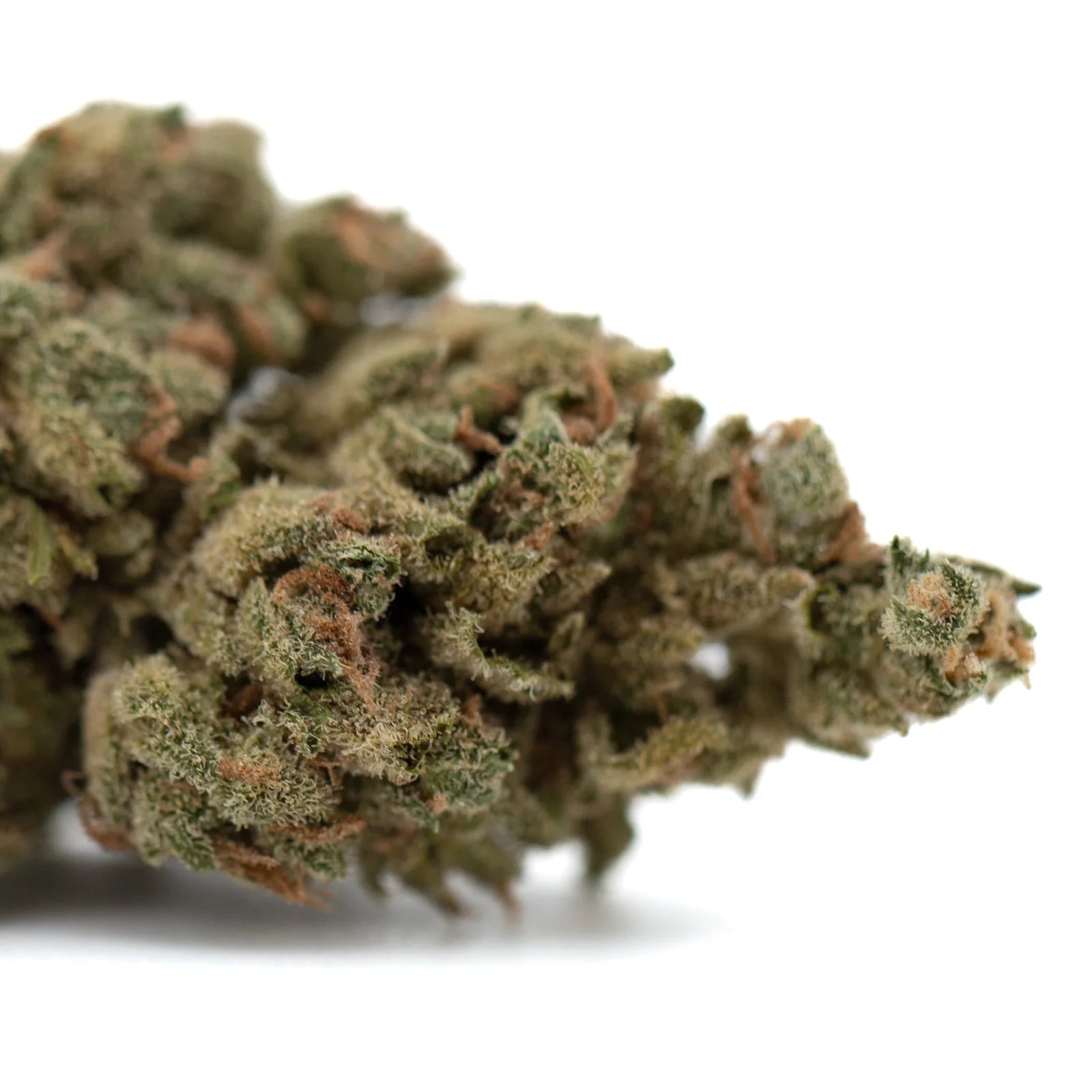 Premium TriCross THCa Flower with exotic three-way genetics