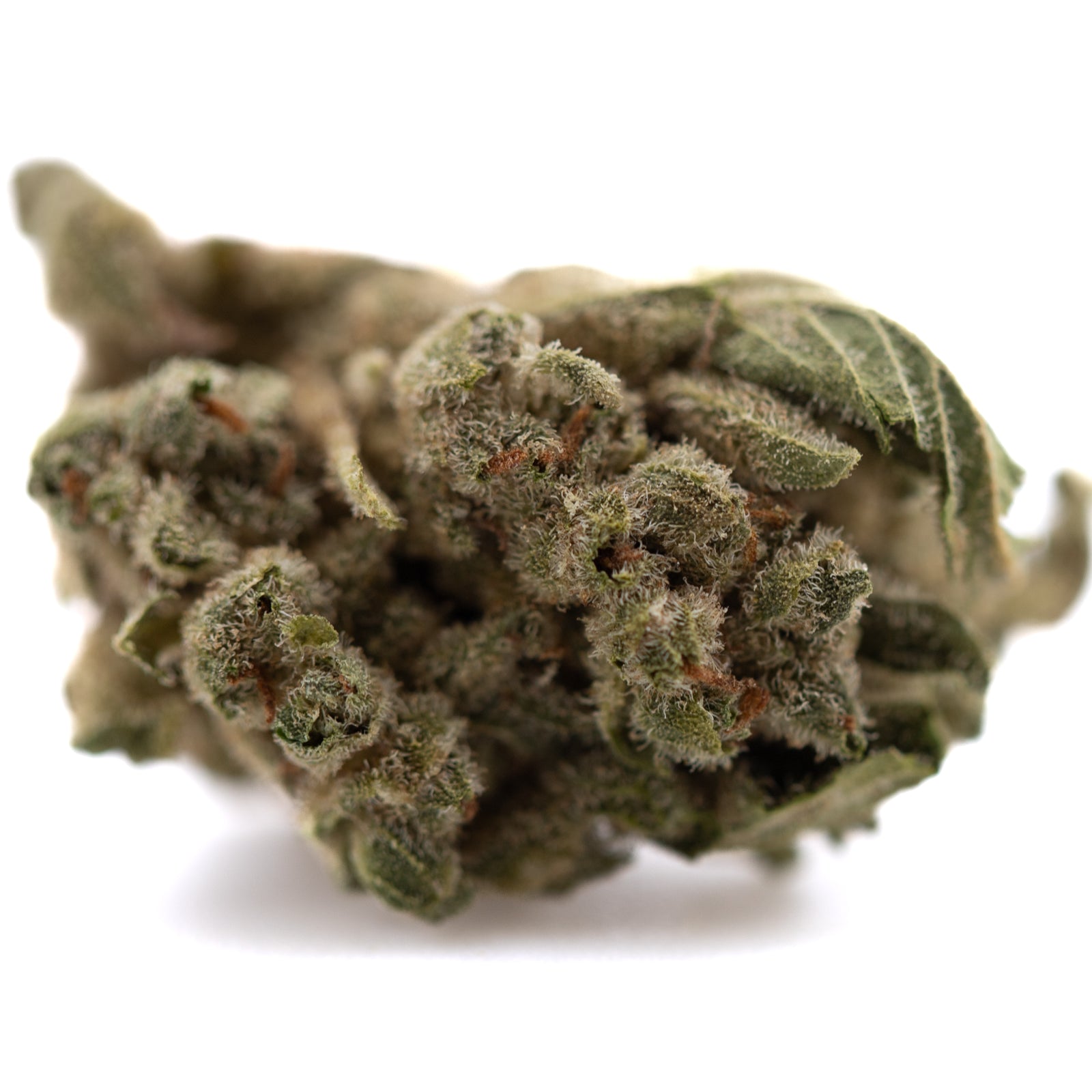 Premium TriCross THCa smalls bud with trichomes and leaves