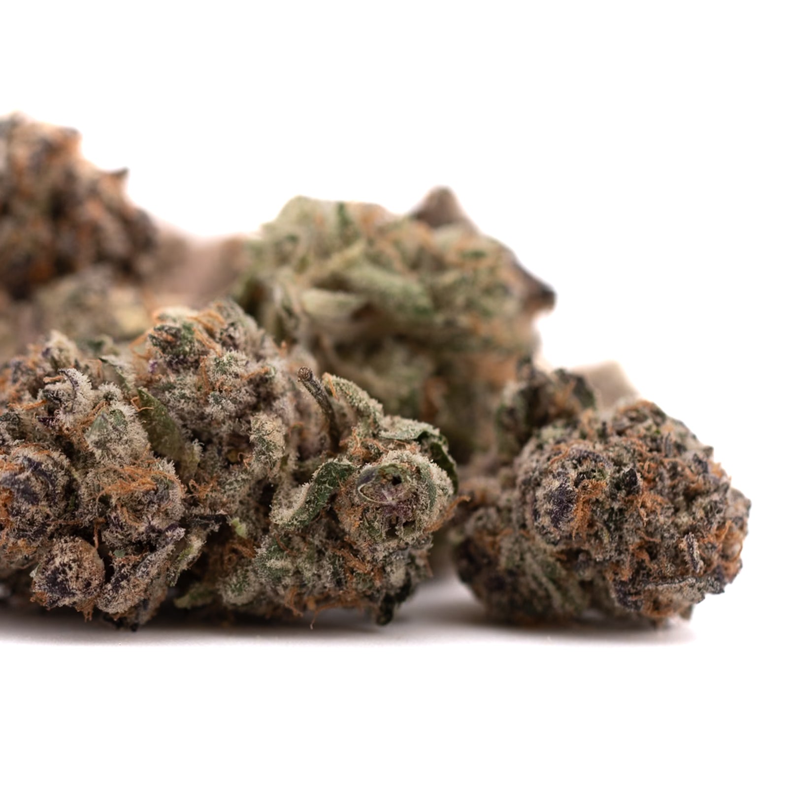 Tropical Paradise Indoor THCa Flower with purple, green, and orange cannabis buds