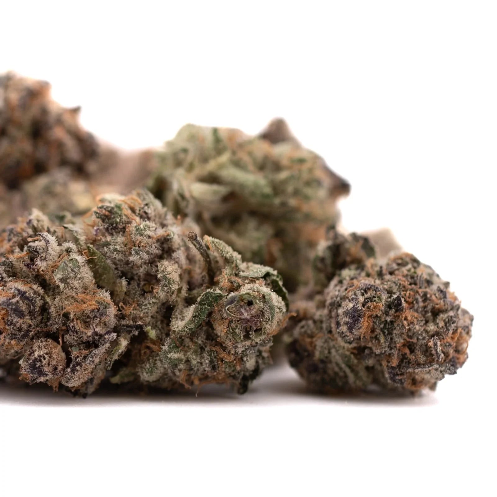 Tropical Paradise Indoor THCa Flower with purple, green, and orange cannabis buds