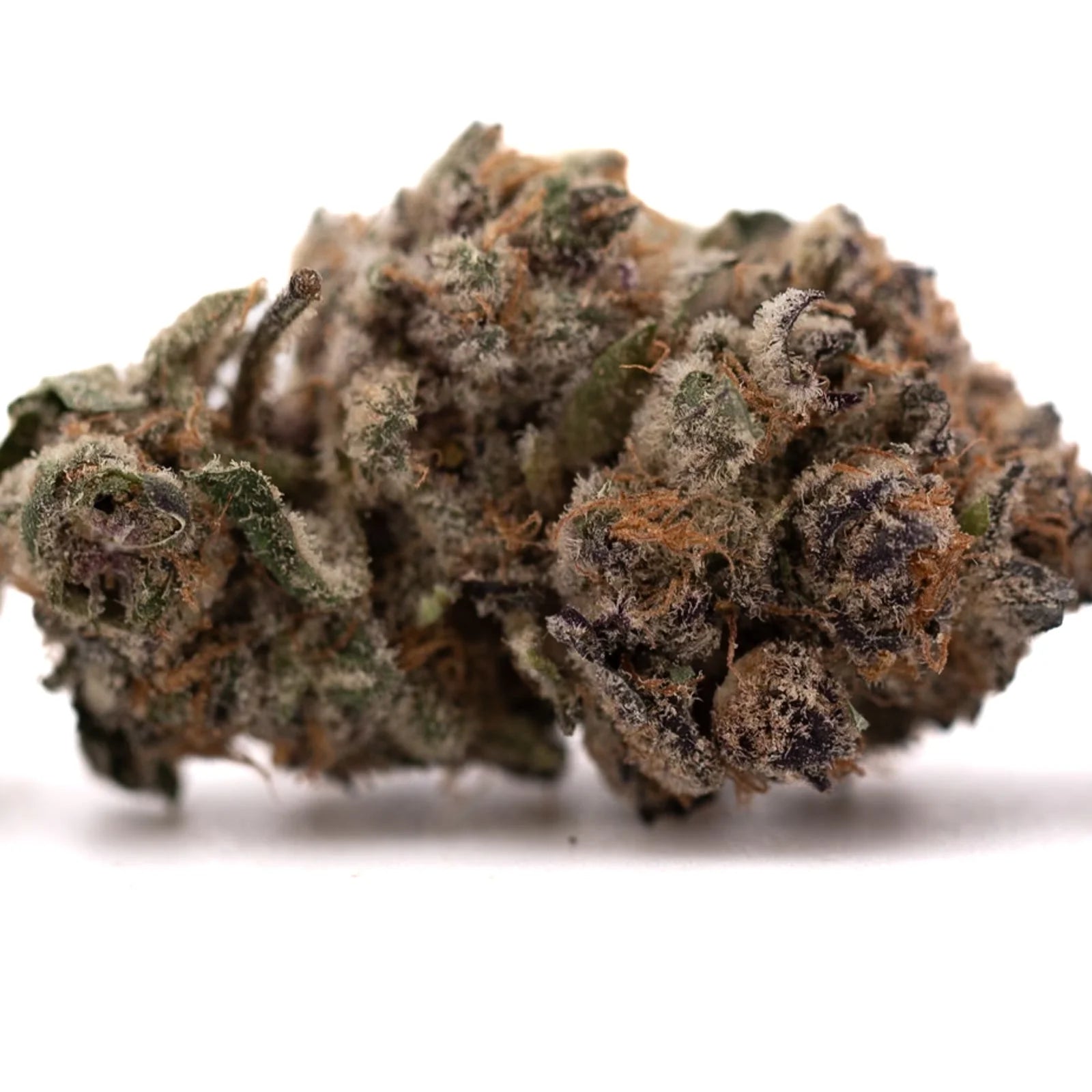 Close-up of Tropical Paradise Indoor THCa Flower Pineapple Trainwreck cannabis bud with trichomes