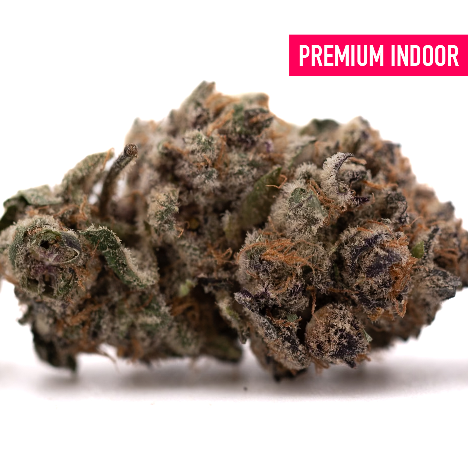 Dense Tropical Paradise Indoor THCa Flower with vibrant green purple orange hues and frosty trichomes