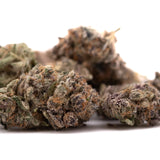 Dense tropical paradise indoor cannabis bud with orange hairs and frosty trichomes, labeled THCA flower