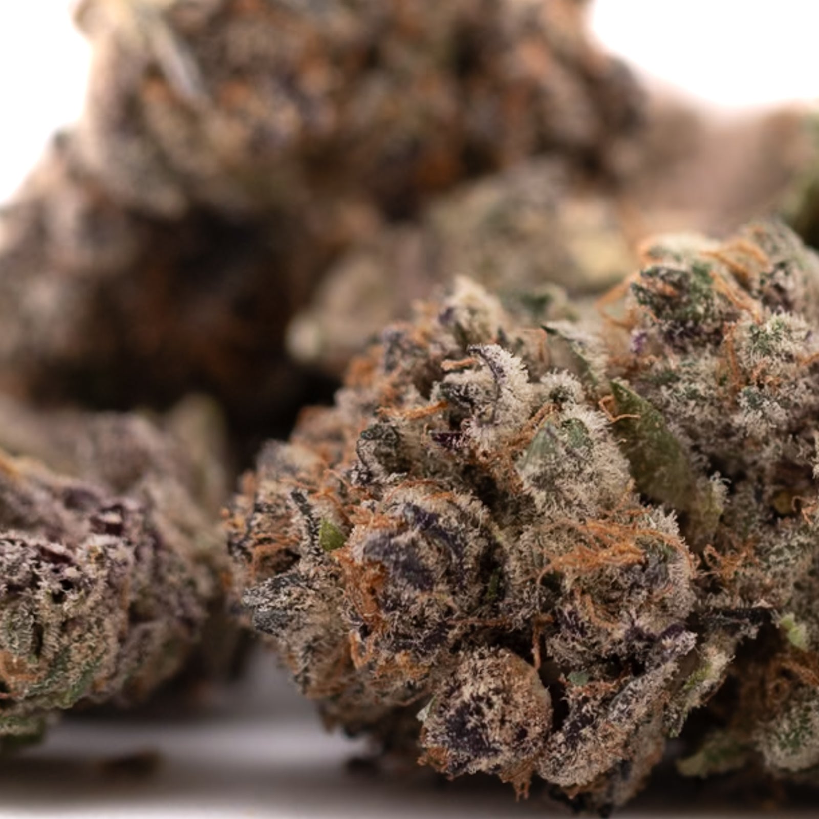 Dried cannabis buds with trichomes and orange pistils from Tropical Paradise Indoor THCa Flower