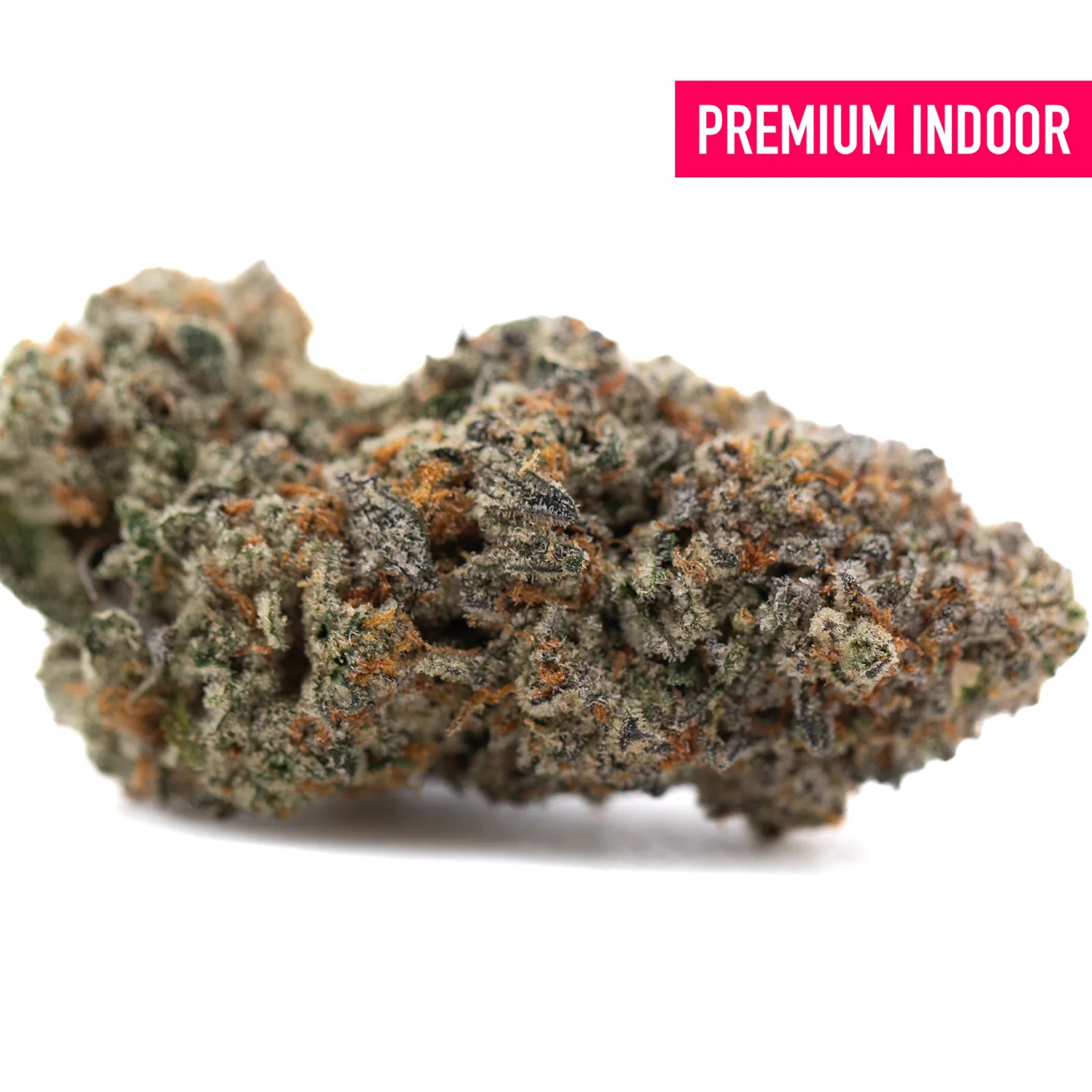 A dense tropical punch indoor thca flower bud with green and orange hues covered in frosty trichomes and northern lights accents