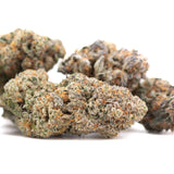 Mature tropical punch indoor thca flower buds with dense frosty texture and green orange purple hues resembling northern lights