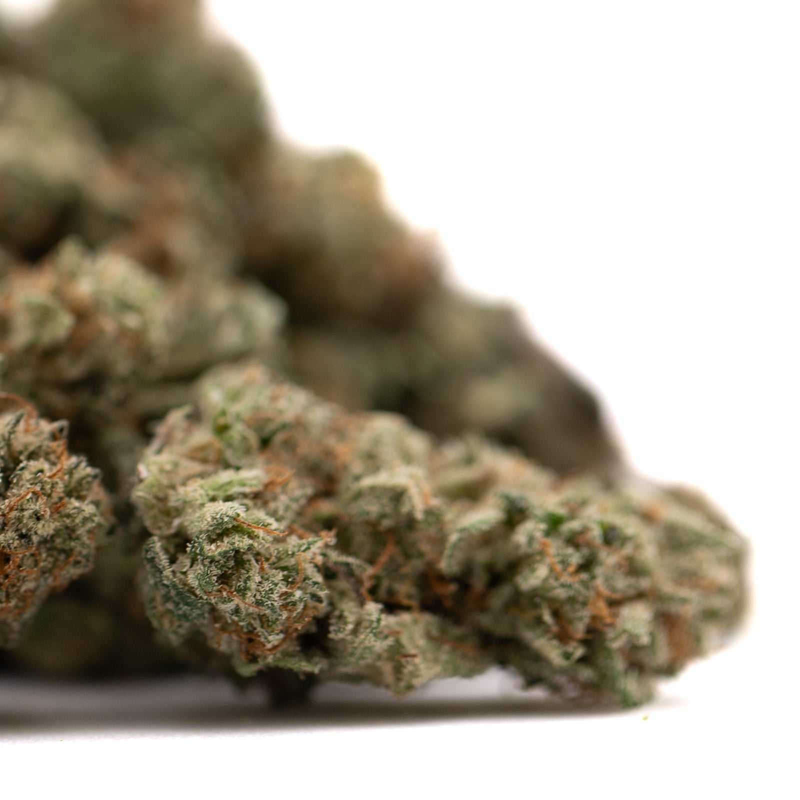 Dried Tropical Punch THCa Flower Smalls with trichomes and orange hairs from indoor cultivation