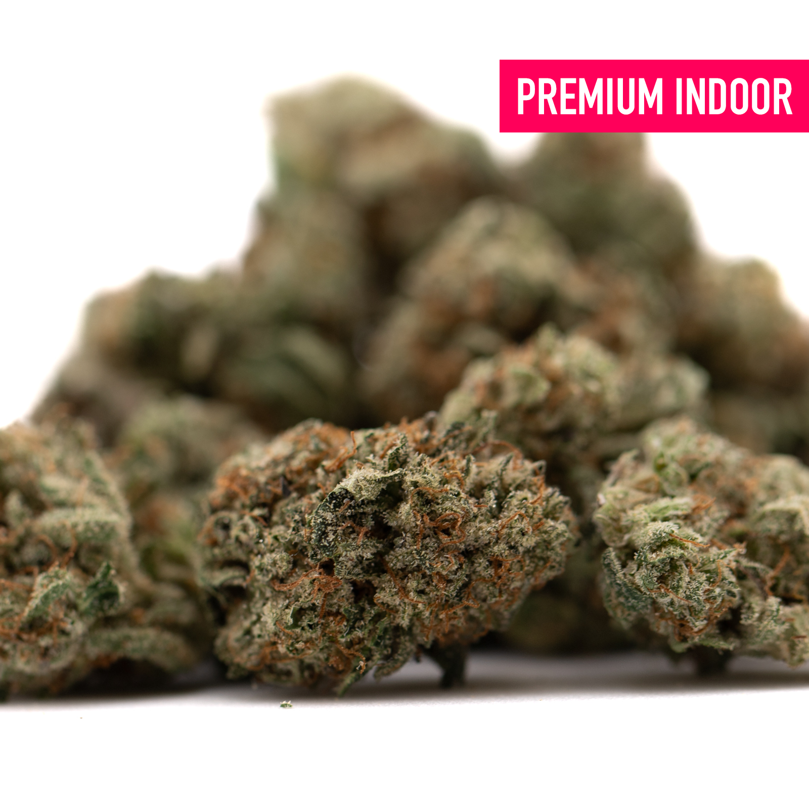 Premium indoor Tropical Punch THCa Flower Smalls with orange hairs and trichomes