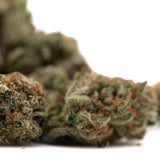 Pile of Tropical Punch Indoor THCa Flower Smalls with orange hairs and trichomes