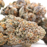 Dense frosty tropical punch indoor thca flower bud with green gray and orange hues similar to northern lights skunk x haze