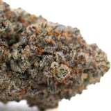 A dense tropical punch indoor thca flower bud with green and orange hues covered in frosty northern lights trichomes