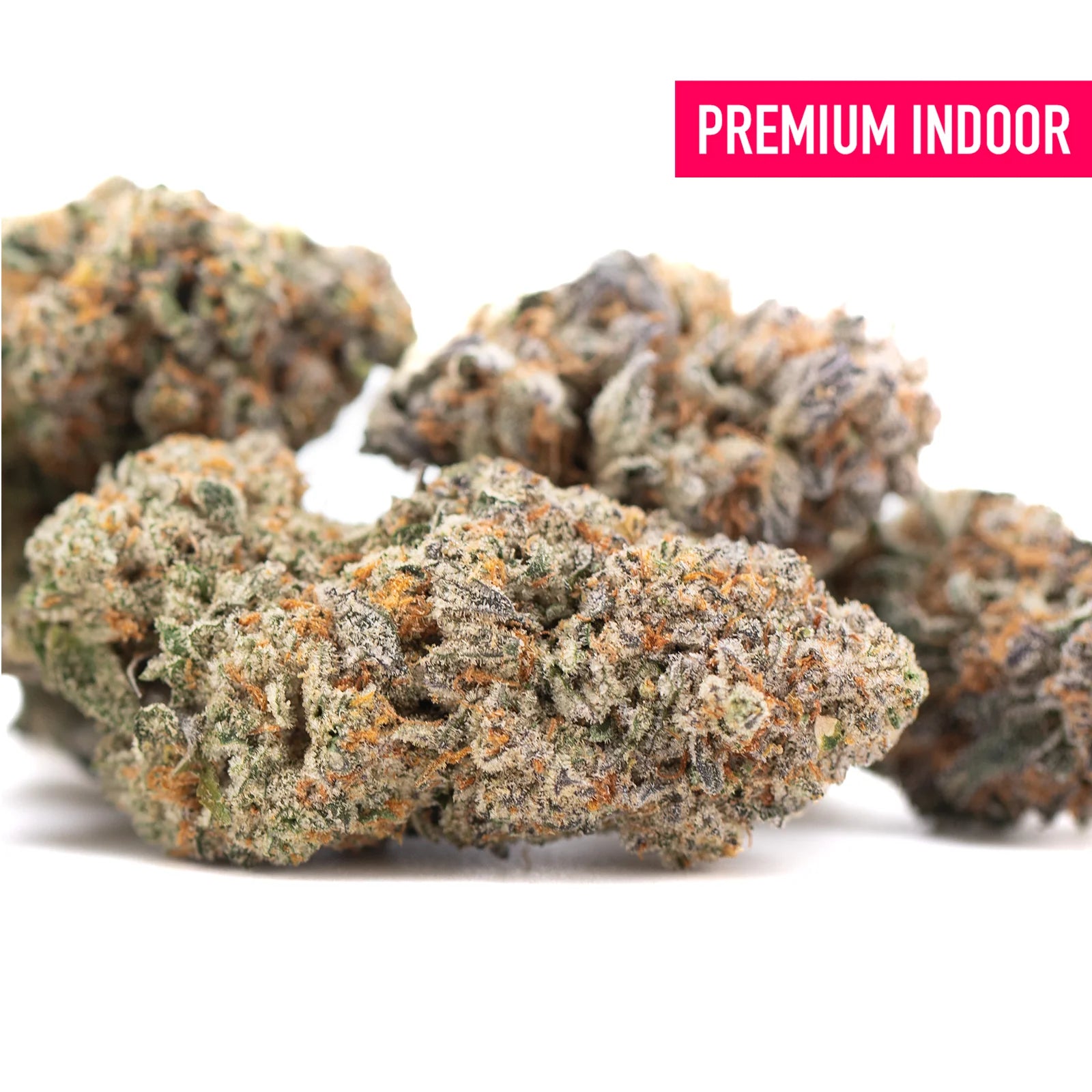 Premium tropical punch indoor THCa flower with dense frosty buds in vibrant green orange and purple hues, ideal for skunk x haze fans